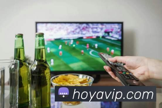 HOYA娱乐城官网平台生态图